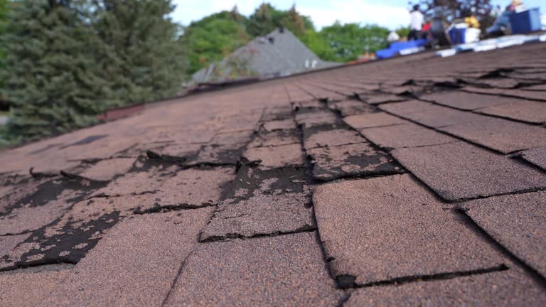 Best Roof Maintenance and Cleaning  in Colstrip, MT