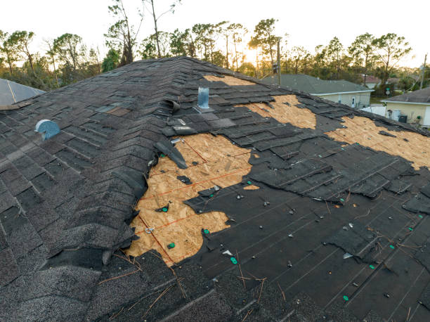 Best Storm Damage Roof Repair  in Colstrip, MT